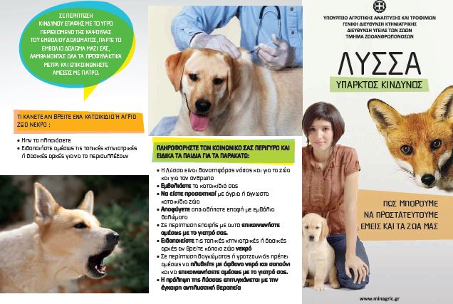 Ενημερωτικό φυλλάδιο Διεύθυνσης Κτηνιατρικής