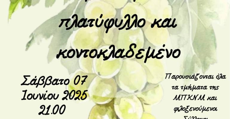 melissoxoti politistiko kalokairi 07062025