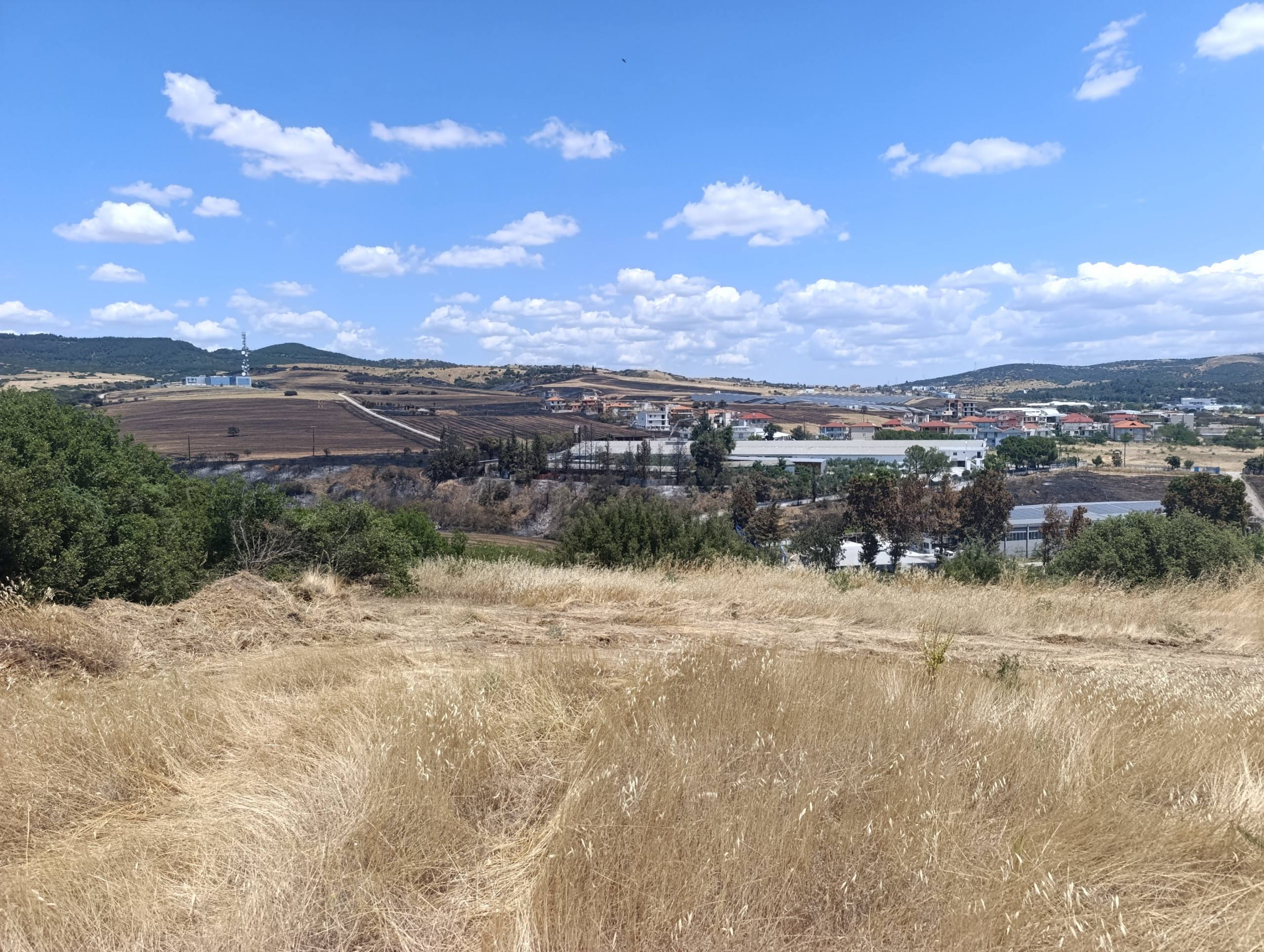 img 20260706 140225